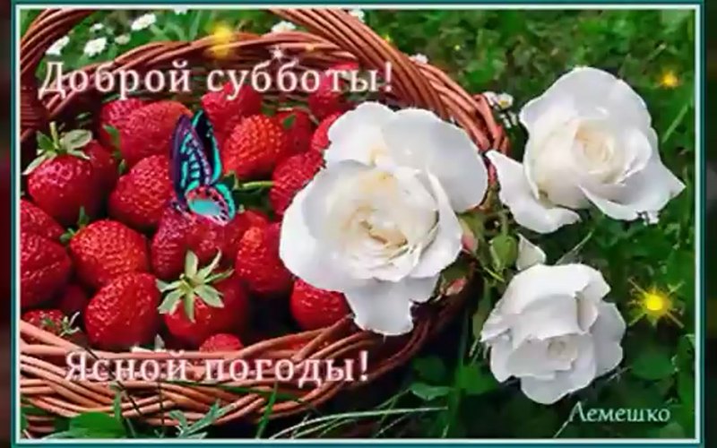 Хорошего субботнего дня и отличного настроения