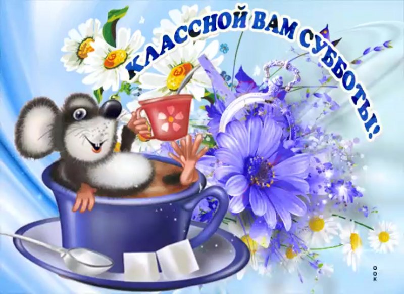Прекрасного субботнего дня и хорошего настроения