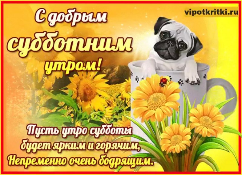 Доброй субботы хорошего дня