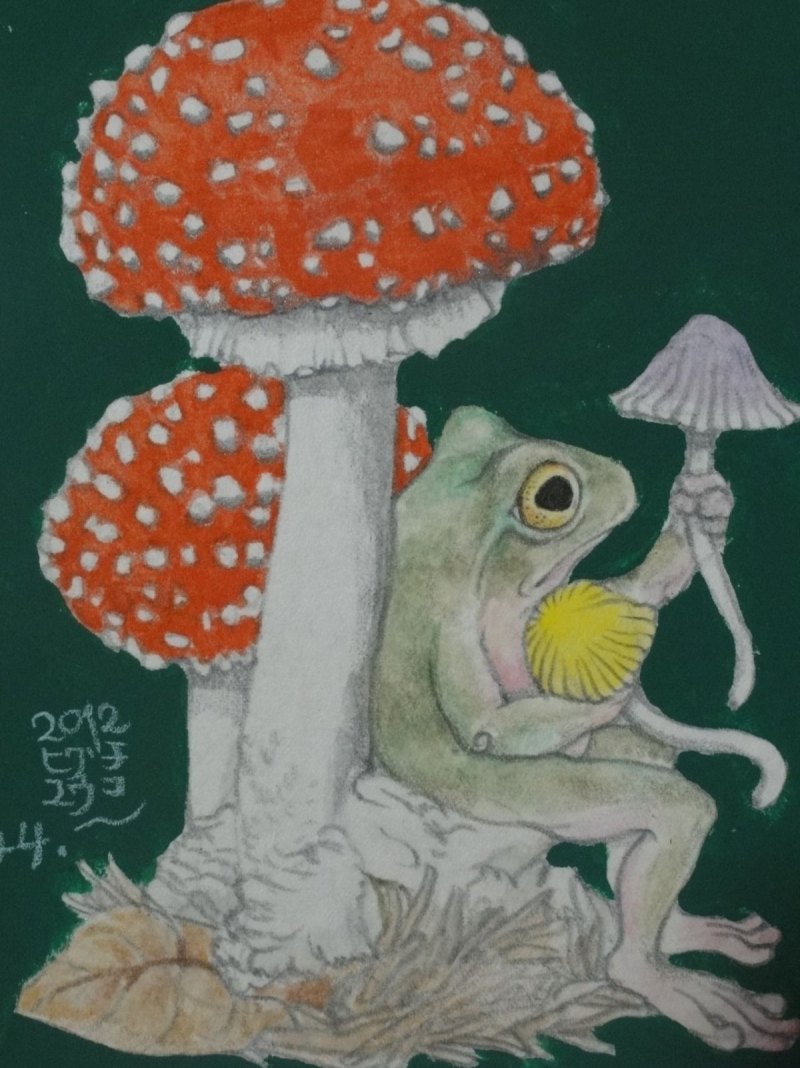 Инди КИД грибы и лягушки