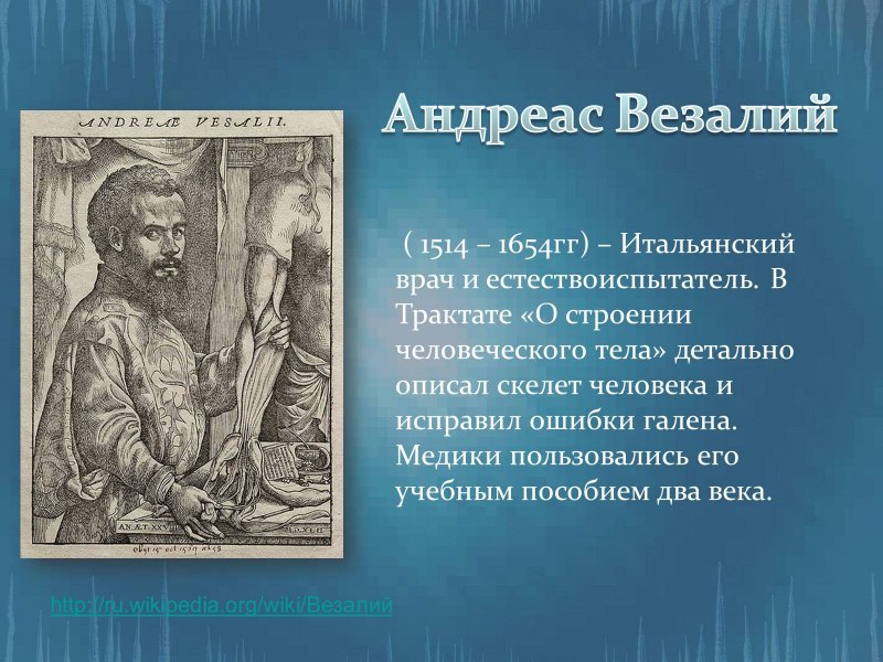 Гиппократ портрет
