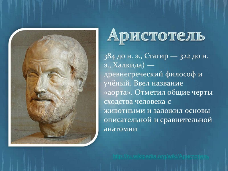 Краткий исторический очерк развития анатомии