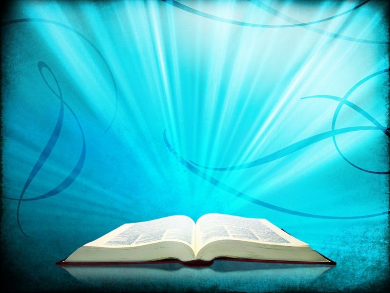 Книжный фон