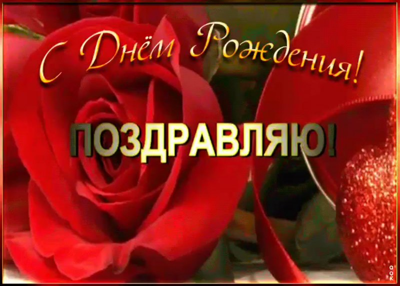 Сднем рождения/ Легочка