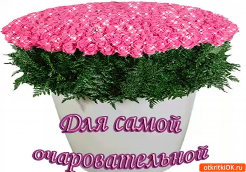 Нежный цветок