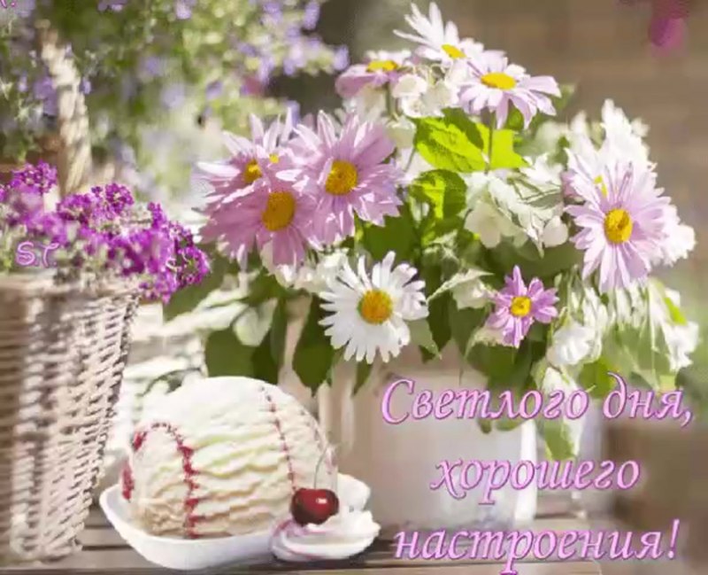 Восхитительные цветы