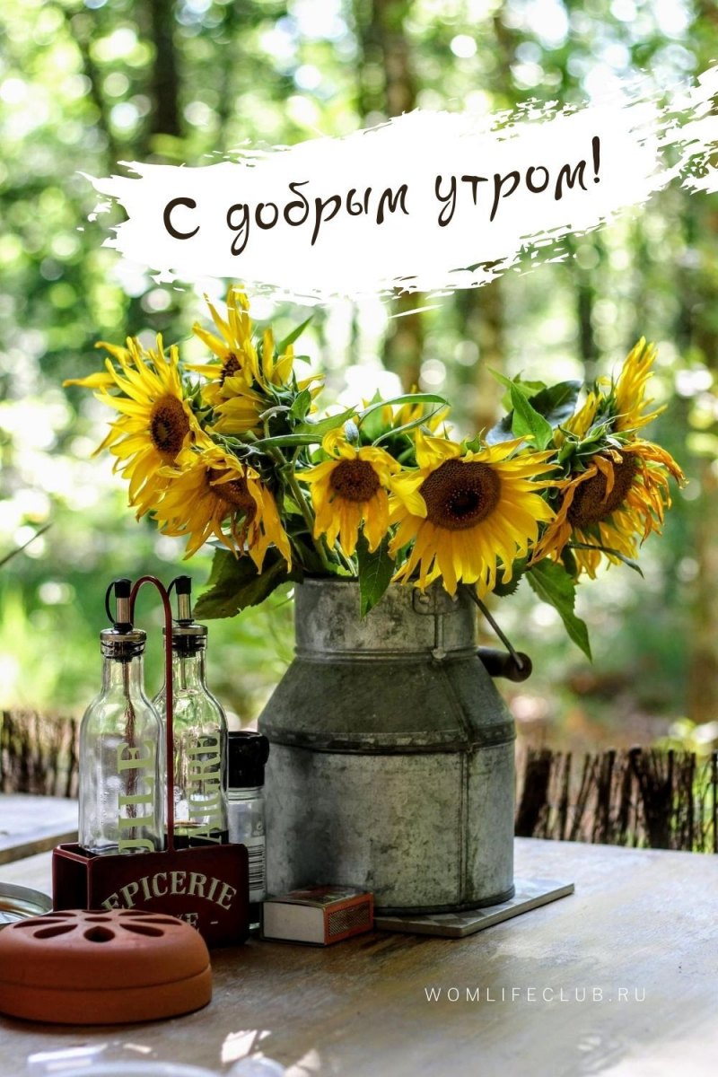 Красивые летние натюрморты