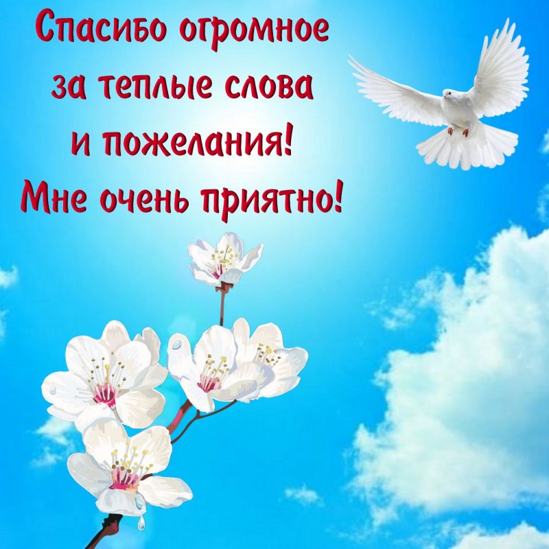 Красивые стихи спасибо