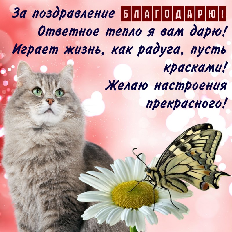 Спасибо друзья