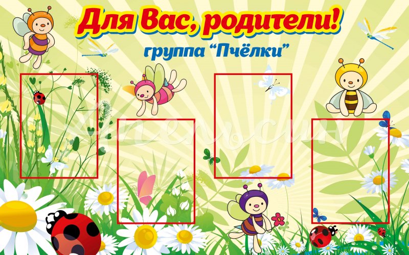 Портфолио группы пчелки