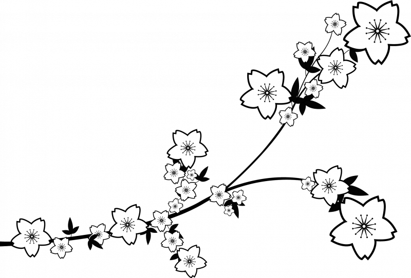Веточка Сакуры