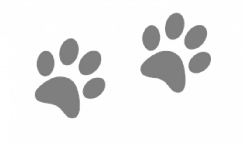 Лапа знак