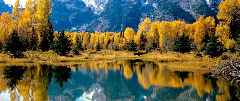 Обложки для одноклассников бесплатно природа осень