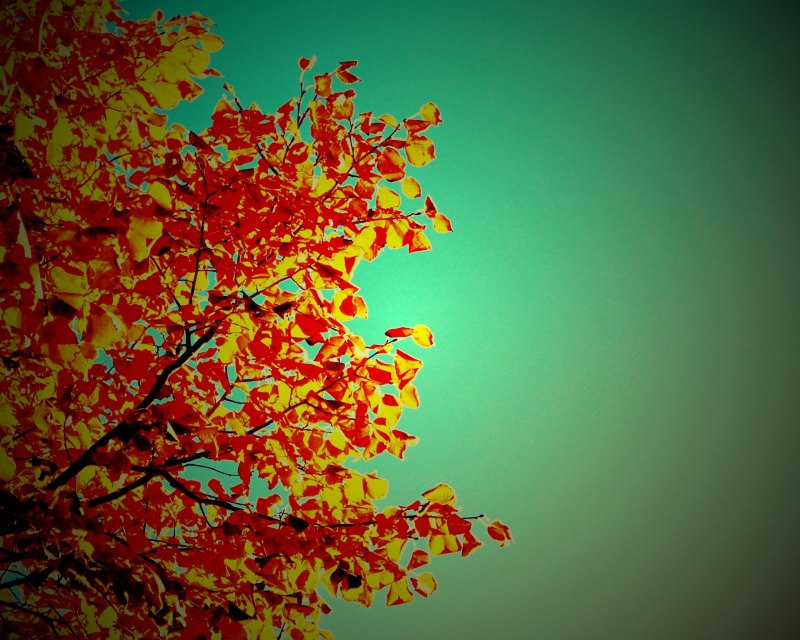 Осенний фон