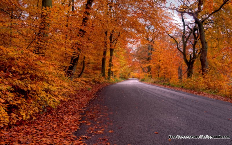 Обложка для одноклассников ноябрь