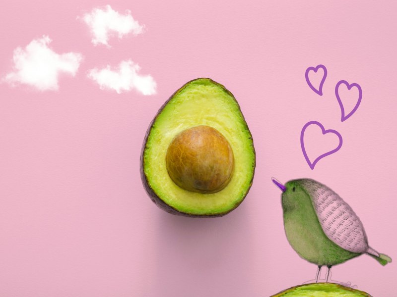 Обои с авокадо на стену