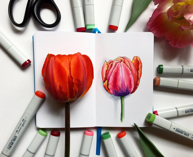 Тюльпаны маркерами