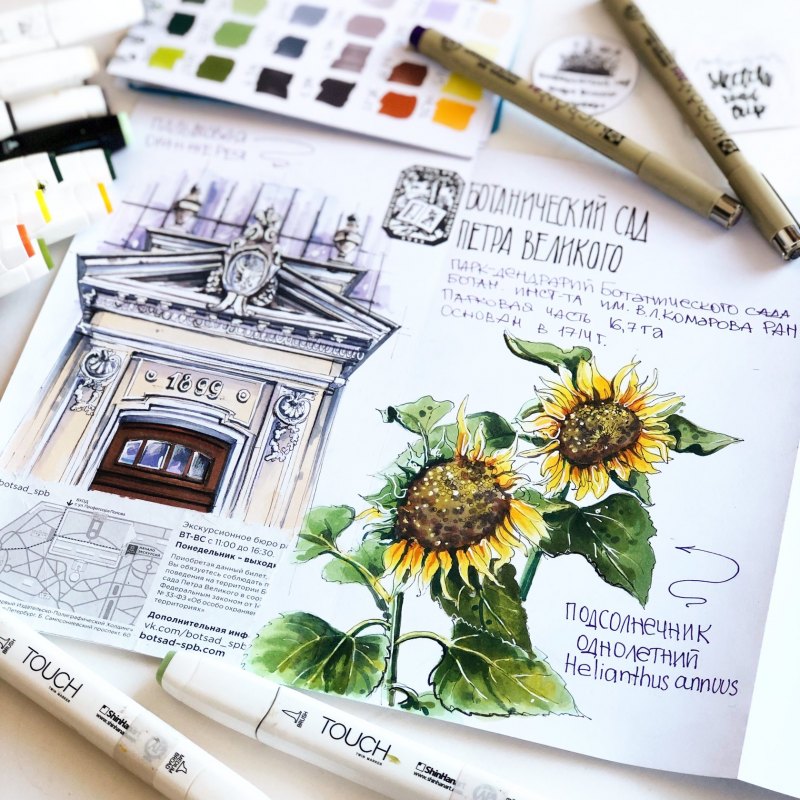 Основы скетчинга