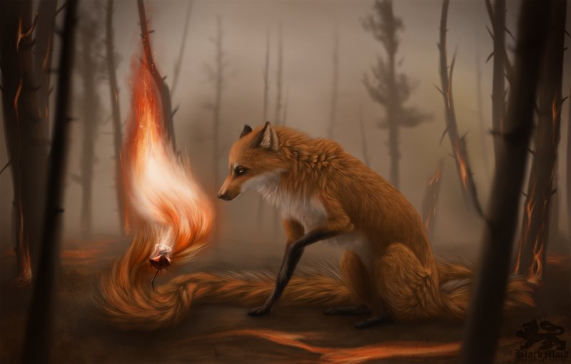 Волшебные лисы