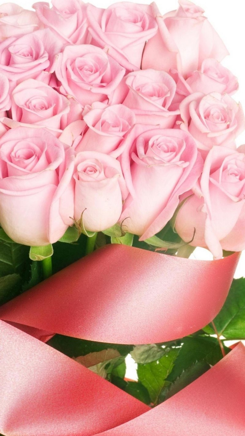 Розовые розы