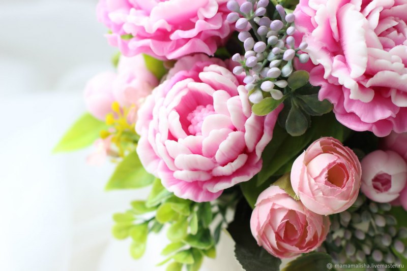 Нюдовые пионы