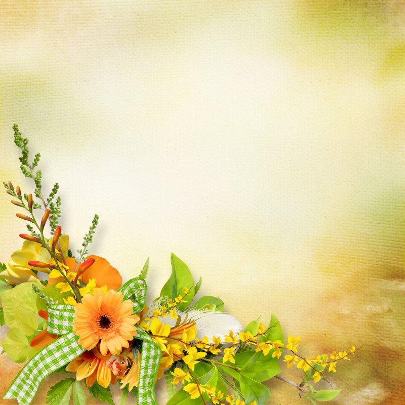 Спасибо моя дорогая