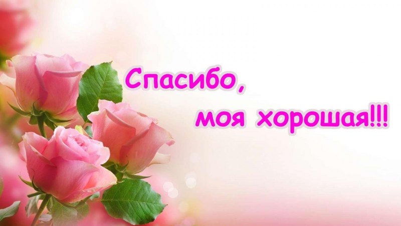 День спасибо стихи