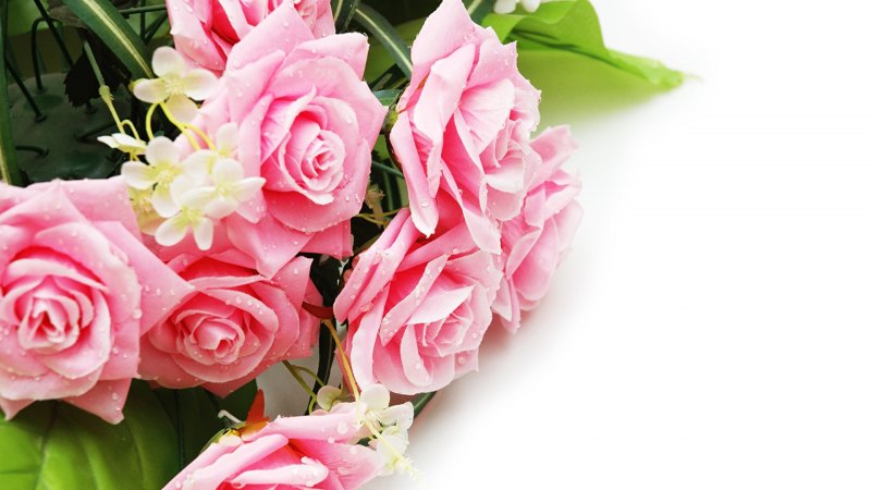 С днем рождения цветы