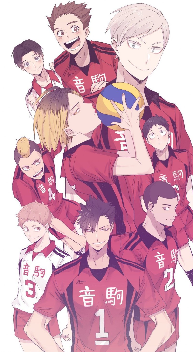 Аниме волейбол команда Некома