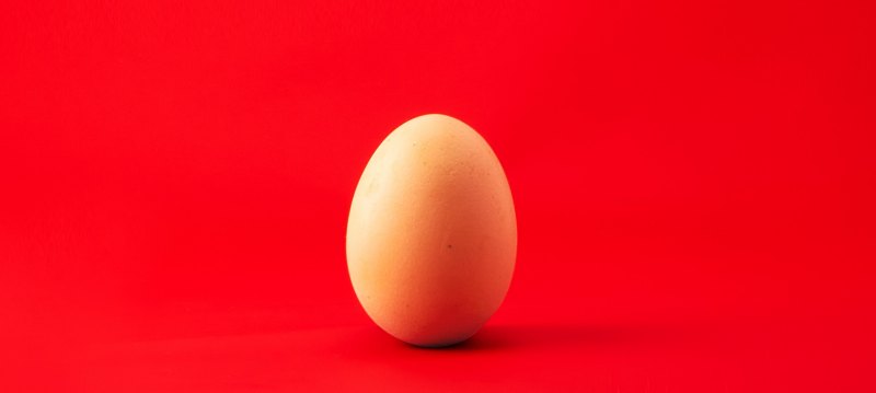 Обычное яйцо