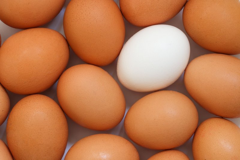 Овальное яйцо