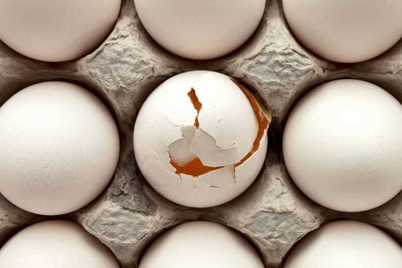 Мозайка из яичной шкарлупы