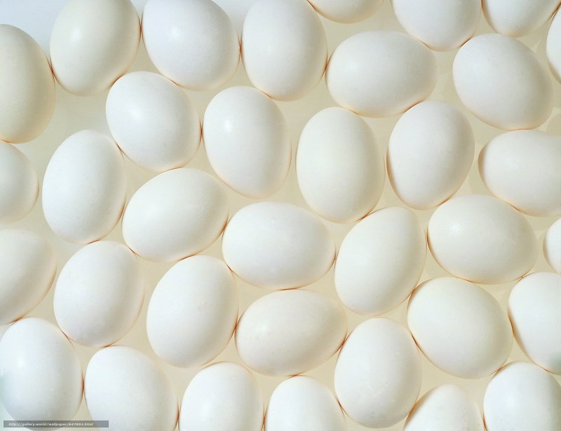 Текстура куриного яйца