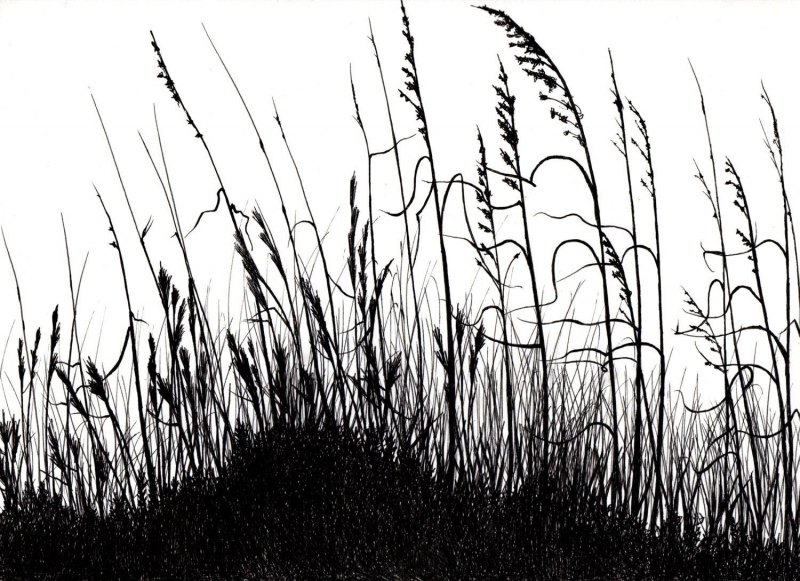 Трава Графика