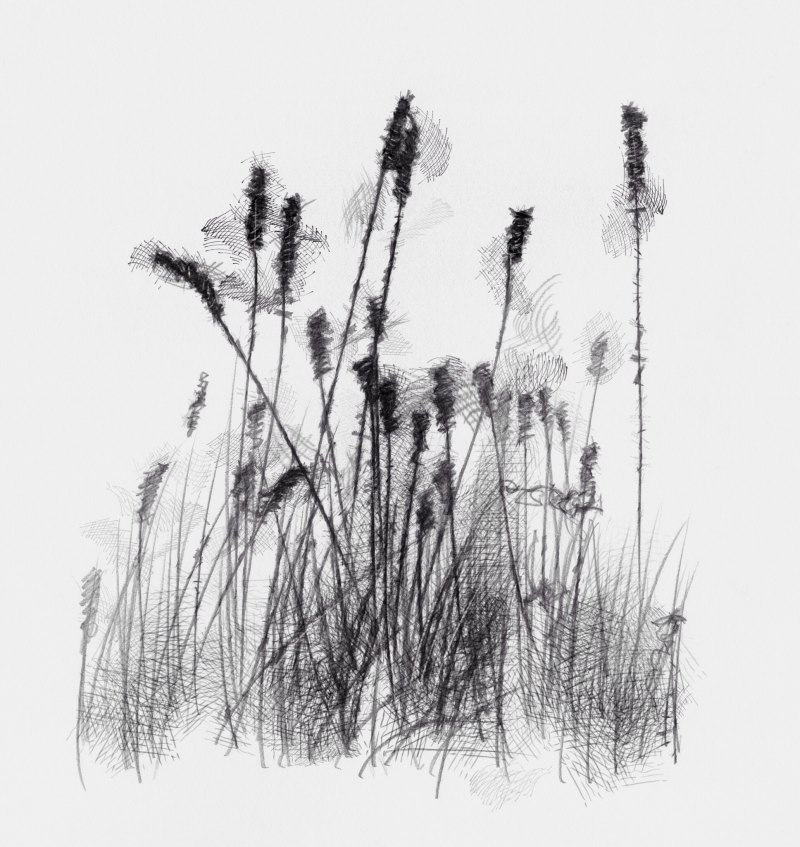 Поляна рисунок