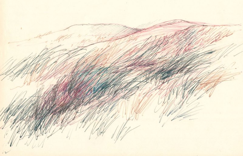 Колыхание трав на ветру рисунок