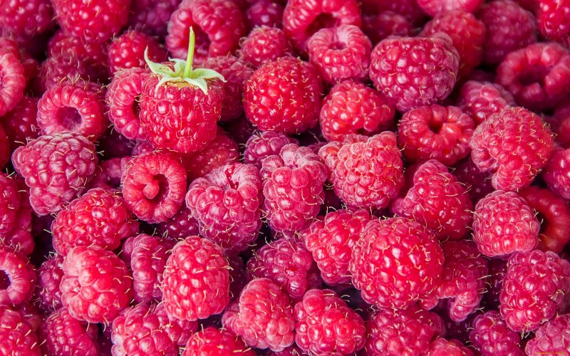 Ягода малина