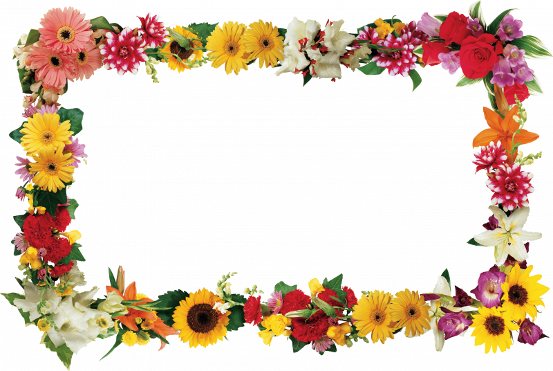Цветочная рамка на прозрачном фоне