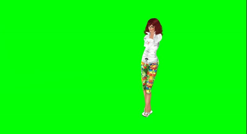 GREENBEAN Chromakey Screen l3060bg