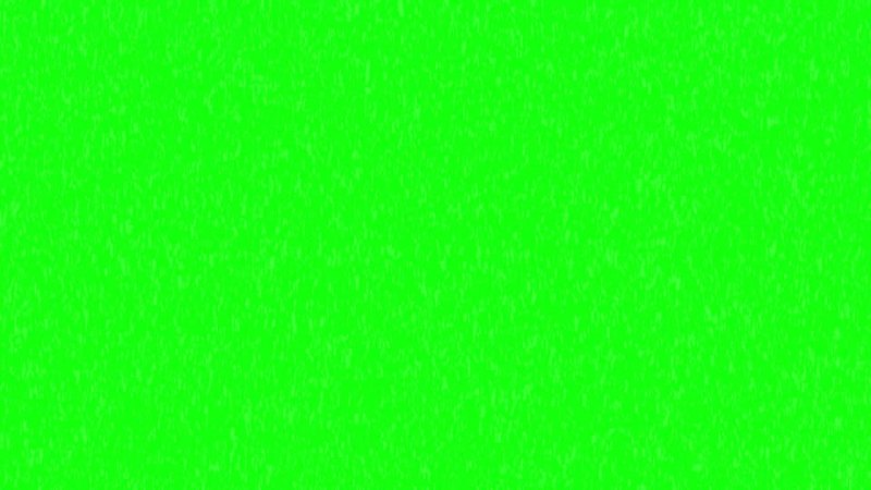 Девушка на фоне хромакея