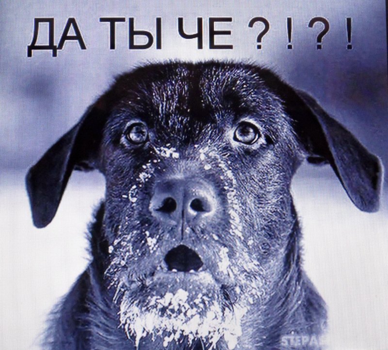 Угарные надписи