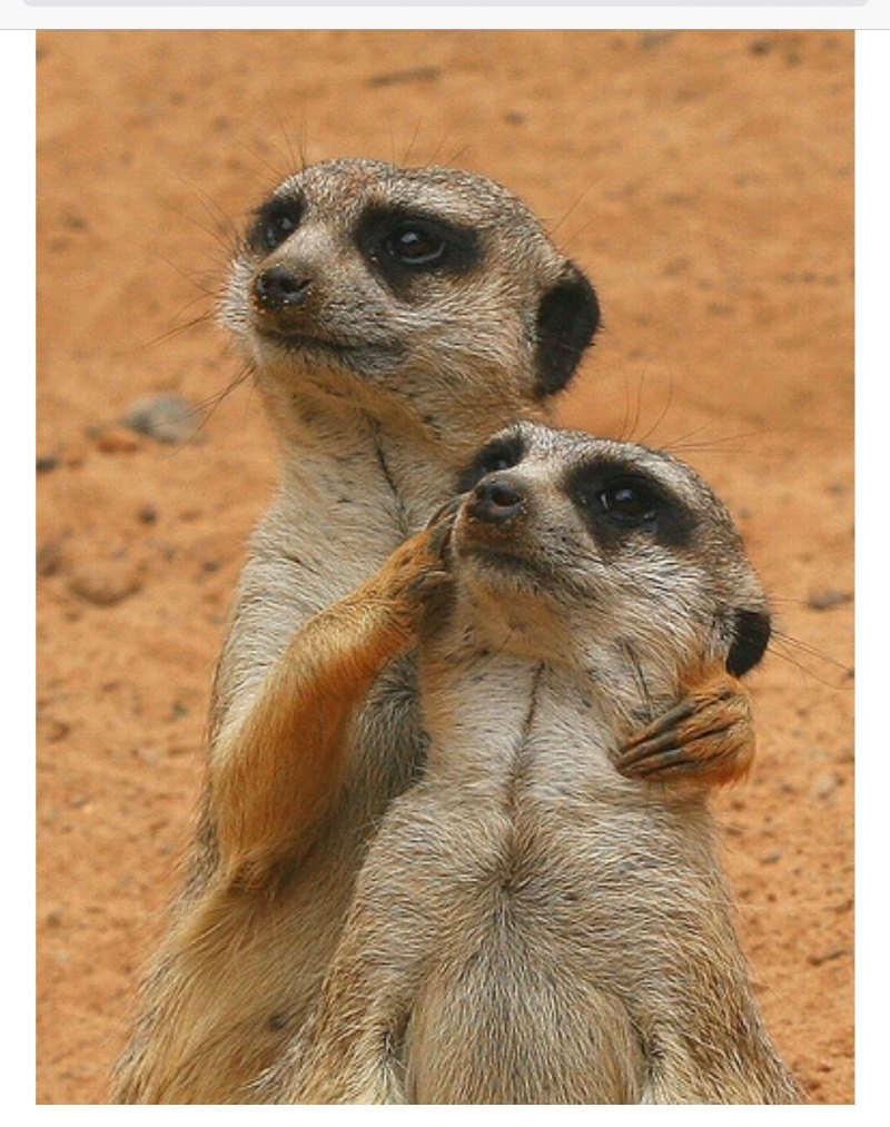 Стикеры прикольные с надписями