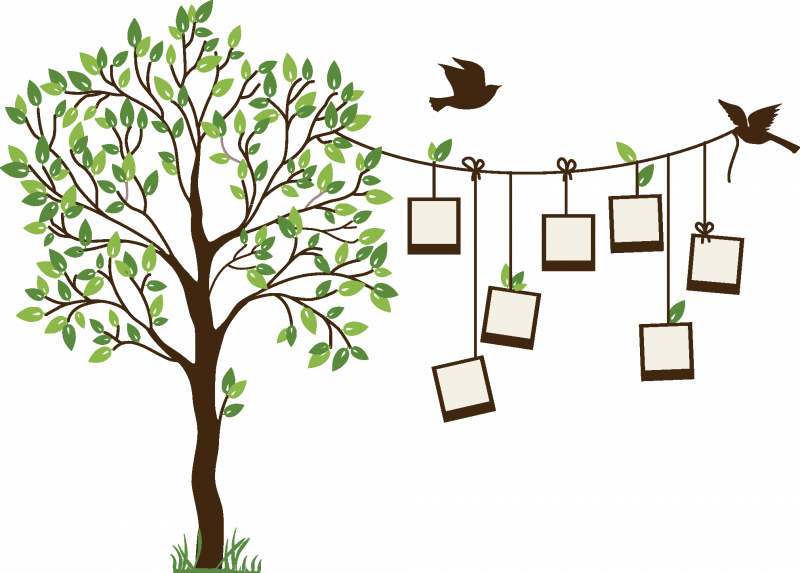 Генеалогическое дерево на прозрачном фоне