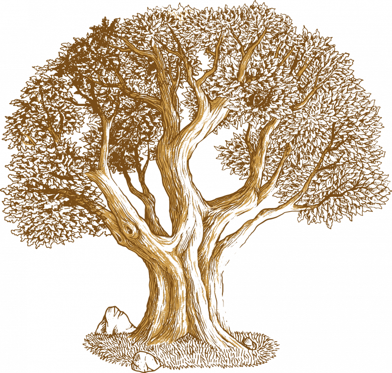 Нарисовать дерево