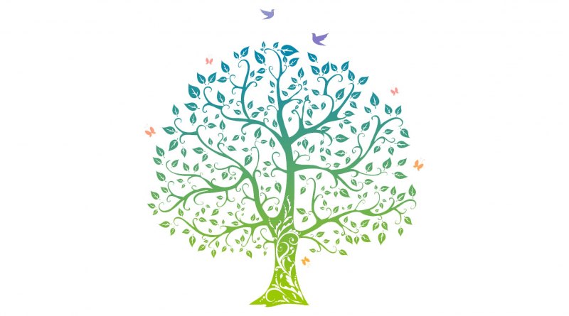 Древо жизни на белом фоне