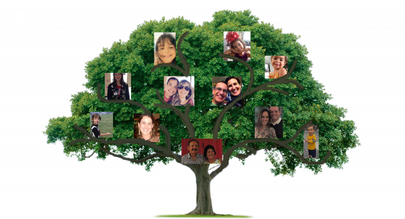 Дерево для семейного дерева