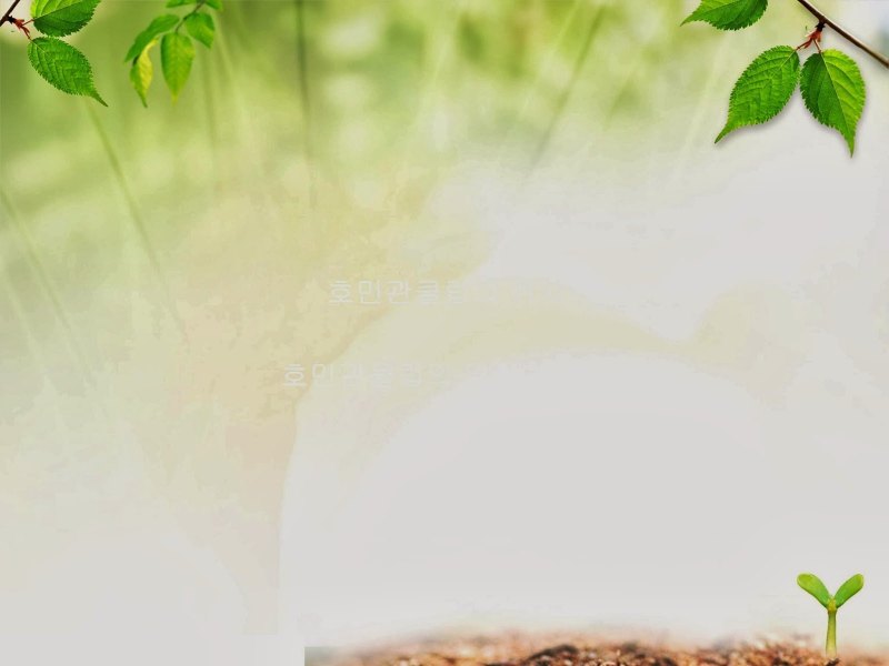 Фон для презентации природа