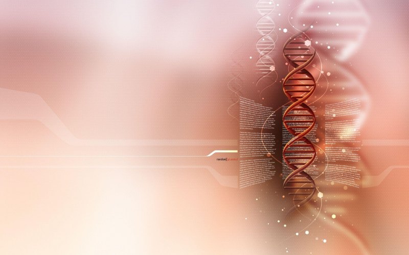 Фон для презентации