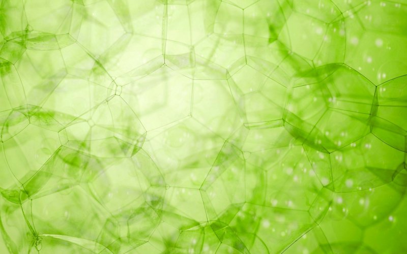 Необычный зеленый фон