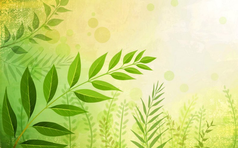 Растительный фон